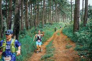 BIB: 
                            <button type="button" onclick="openModal(25661698)" class="btn btn-primary btn-sm float-right btn-popup" data-toggle="modal" data-target=".modal-high-quality">
                        <i class="fas fa-shopping-cart"></i> Add to Cart
                    </button>
                                            <button type="button" onclick="isThisMe(25661698, true)" class="btn btn-success btn-sm float-right btn-popup btn-isme hidden" data-toggle="tooltip" data-placement="bottom" title="นี่คือรูปของคุณใช่ไหม คลิกที่นี่เพื่อเอาเข้าอัลบั้ม">
                        <i class="fas fa-plus"></i> Add to album
                    </button>
                    <button type="button" onclick="isThisMe(25661698, false)" class="btn btn-warning btn-sm float-right btn-popup btn-isnotme hidden">
                        <i class="fas fa-ban"></i> Remove from album
                    </button>